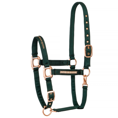 Kantar EQUESTRIAN QUEEN Milan 23AW