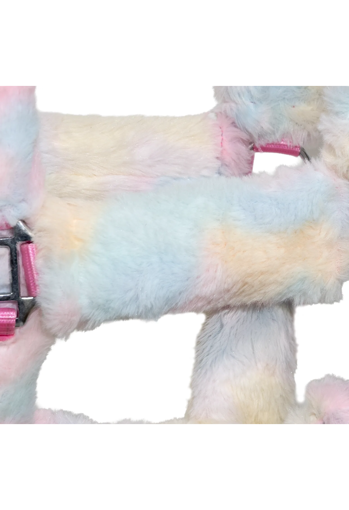 Kantar START Teddy Rainbow