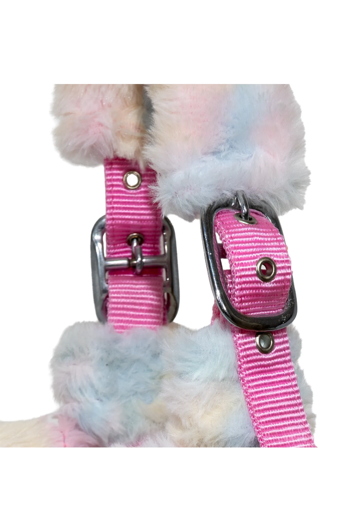Kantar START Teddy Rainbow