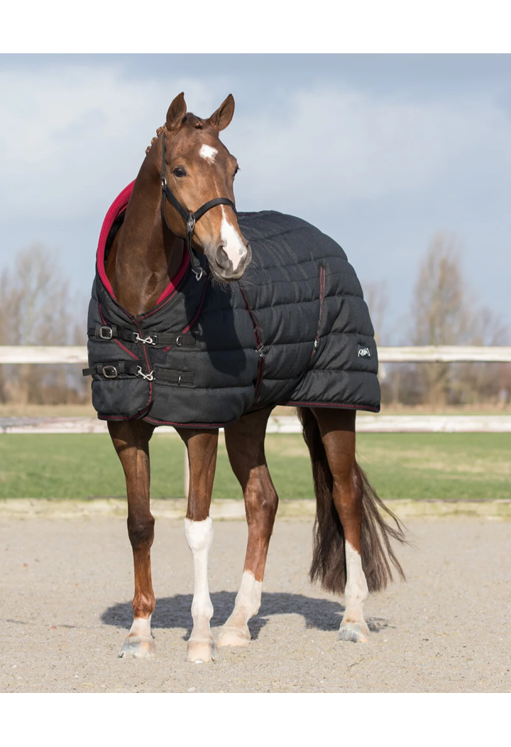 Derka stajenna QHP Luxury 200gr 26AW