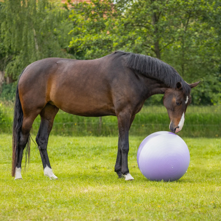 Piłka dla konia QHP Football Two-Tone 75cm