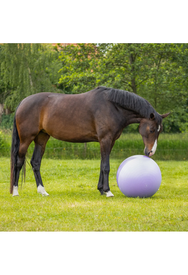 Piłka dla konia QHP Football Two-Tone 75cm