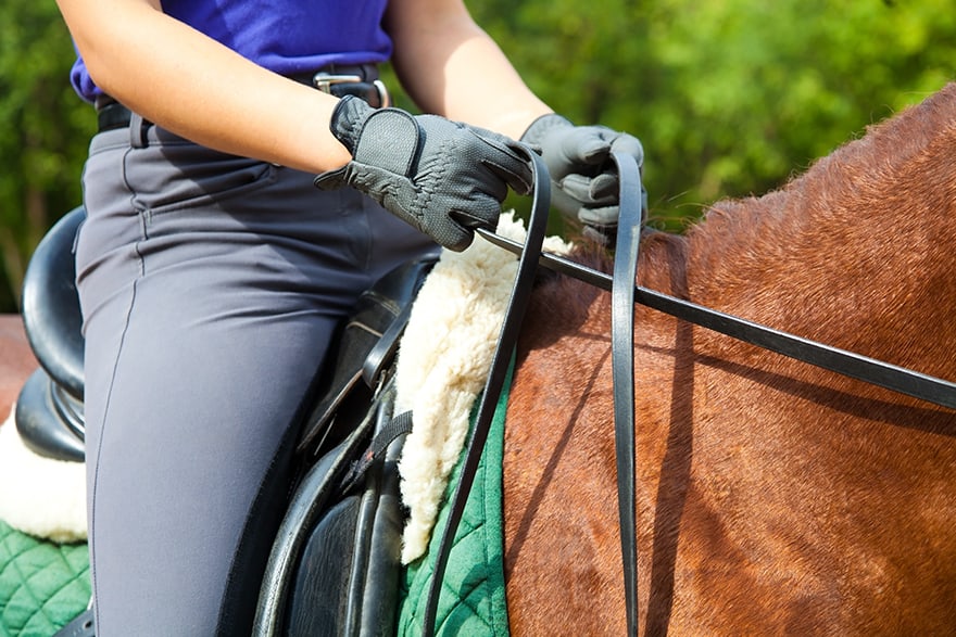 Jak prawidłowo trzymać wodze?