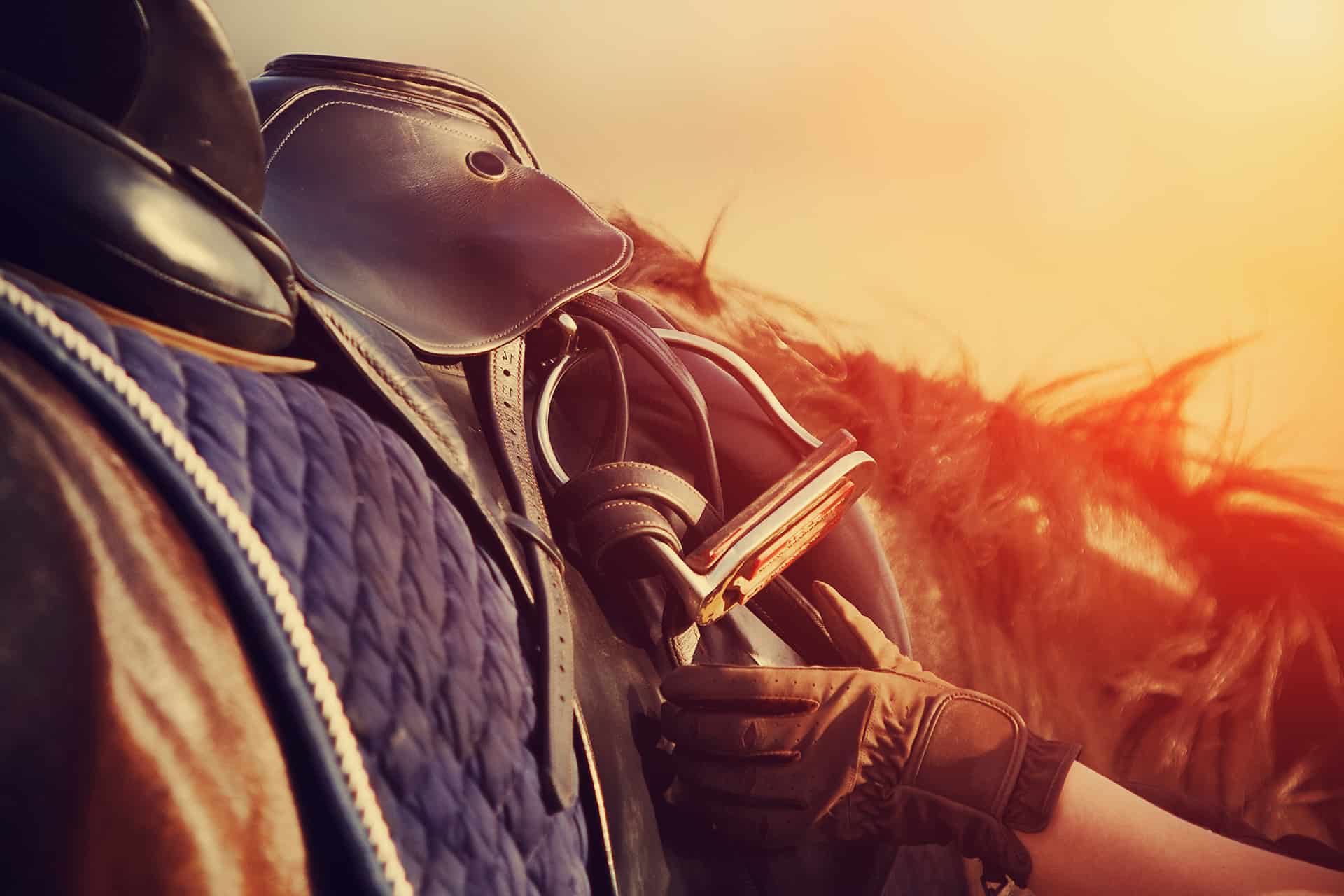 Jak osiodłać konia? Poradnik