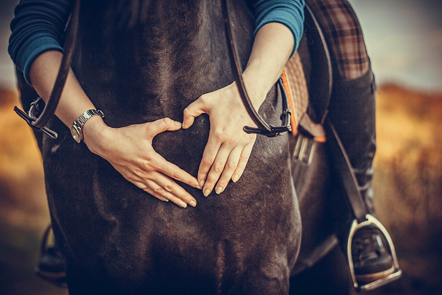 6 pomysłów na prezent dla kogoś, kto kocha konie