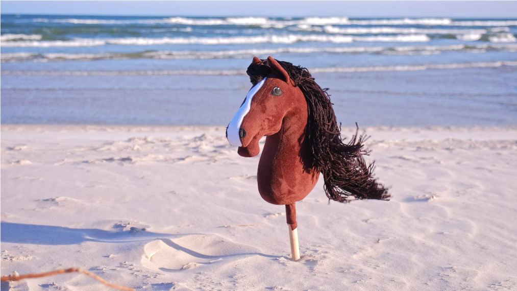 Gdzie można kupić hobby horse? Przewodnik po świecie nowej wyjątkowej konkurencji