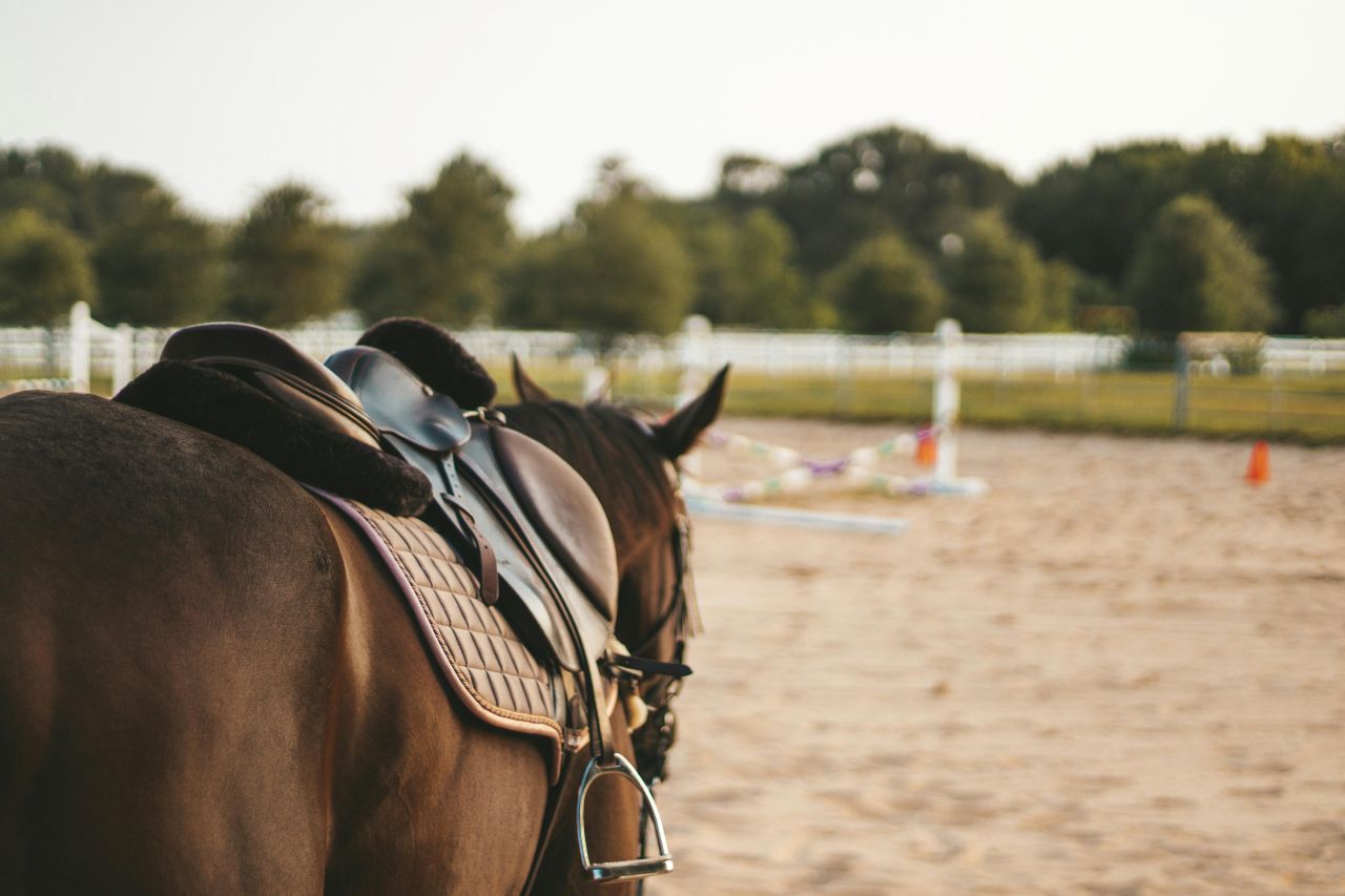 Jak dobrać odpowiednie strzemiona – praktyczny przewodnik po wyborze
