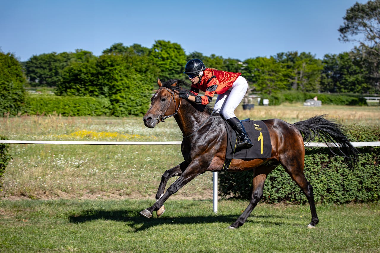 Najszybszy koń na świecie: Rekordy prędkości i ich niezwykłe historie