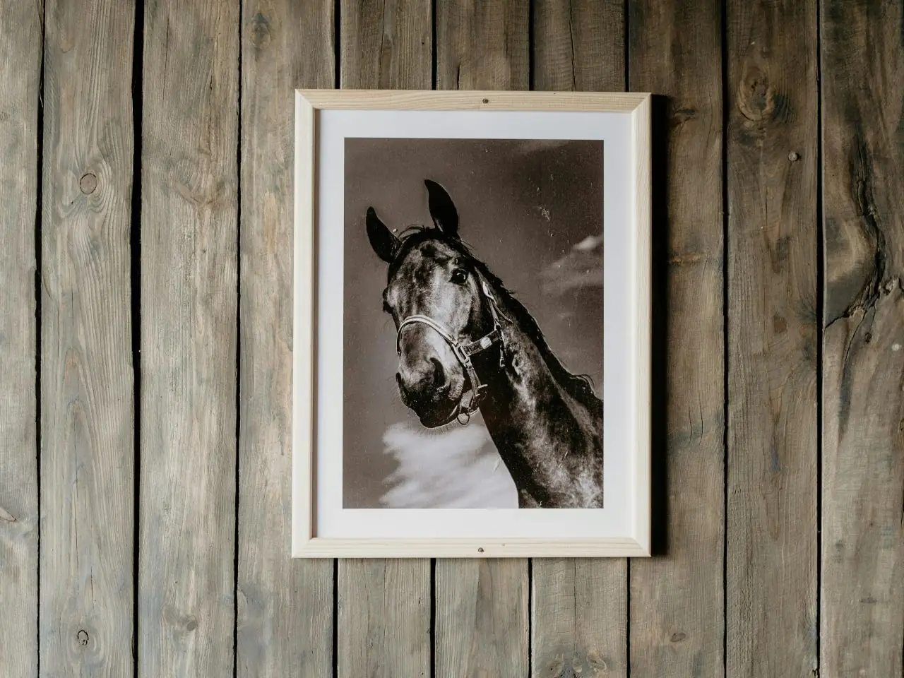 Jak urządzić kącik jeździecki w domu? Dekoracje dla miłośników koni