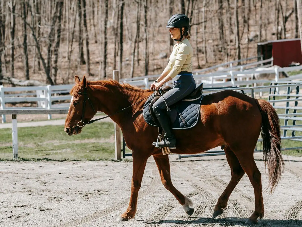 Ćwiczenia na drągach - jak zacząć i dlaczego warto?