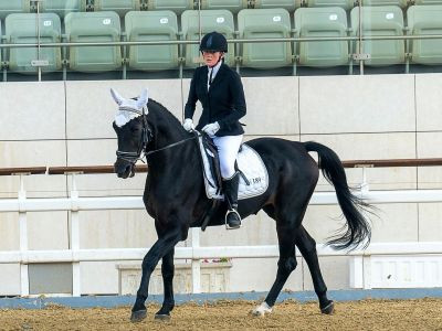 Cavaliada - co to? Wszystko, co warto wiedzieć o największym świecie jeździectwa w Polsce