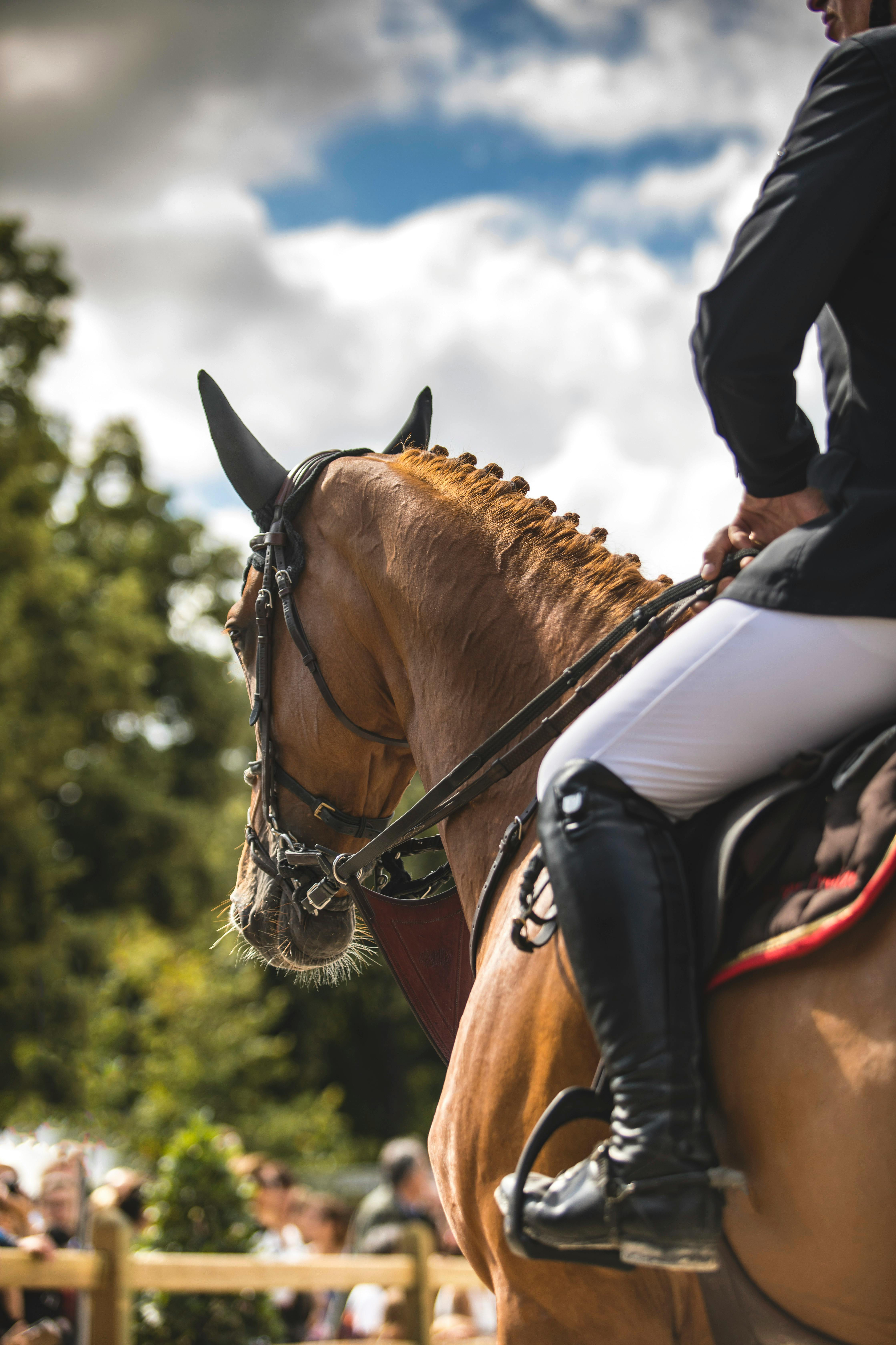 Buty do jazdy konnej dla początkujących – jakie wybrać i na co zwrócić uwagę?