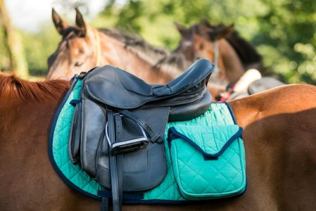 Siodło bezterlicowe – rewolucja w komforcie czy zagrożenie dla grzbietu konia?