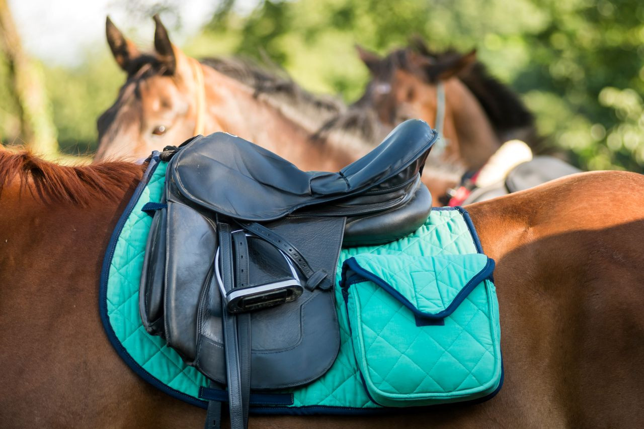 Siodło bezterlicowe – rewolucja w komforcie czy zagrożenie dla grzbietu konia?
