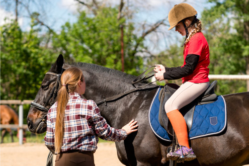 Po co są ochraniacze dla konia?