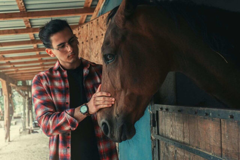 Zaklinacz koni - kto to jest?