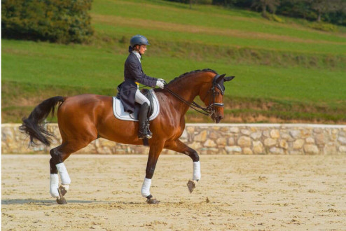 Prawidłowy dosiad – klucz do komfortu i skuteczności w jeździectwie