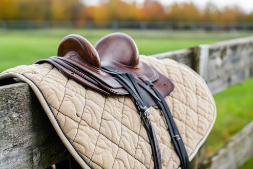 Rodzaje czapraków – Jak wybrać najlepszy czaprak dla swojego konia?