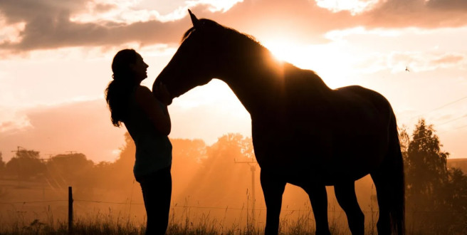 Czy warto mieć własnego konia? Analiza zalet i wyzwań
