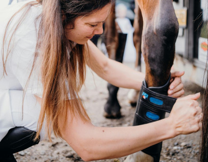 Najlepsze ochraniacze dla konia: wybór i zastosowanie w jeździectwie