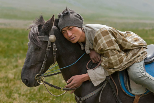 Achał-tekińce: fascynująca historia złotych koni z pustyni