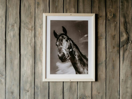 Jak urządzić kącik jeździecki w domu? Dekoracje dla miłośników koni