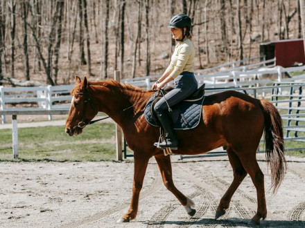 Ćwiczenia na drągach - jak zacząć i dlaczego warto?