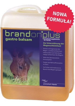 Preparat ST.HIPPOLYT Brandon+ Gastro Balsam 2,5l