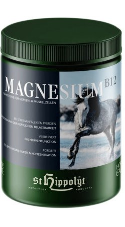 Suplement ST.HIPPOLYT Magnesium + B12 1kg