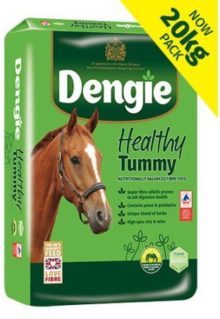 Sieczka DENGIE Healthy Tummy 20kg