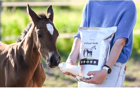 Mleko zastępcze OH 4 Foal Milk 4kg