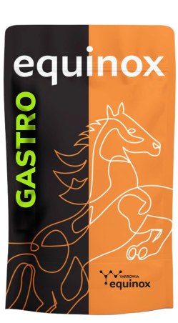 Suplement YARROWIA Equinox Gastro na wrzody 0,9kg