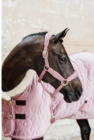 Kantar KENTUCKY Velvet | Sklep jeździecki Horse Trade.pl
