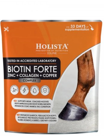 Biotin Forte HOLISTA 500g