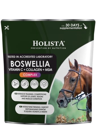 Suplement HOLISTA Boswellia Serrata Complex 500g