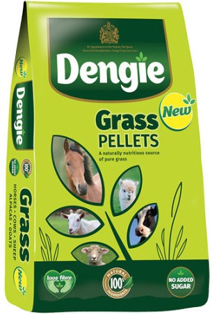 Trawokulki DENGIE Grass Pellets 20kg