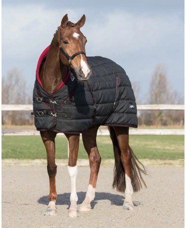 Derka stajenna QHP Luxury 200gr 26AW