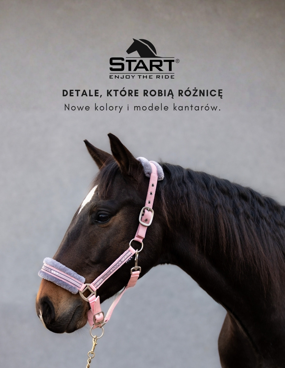 Nowości marki START