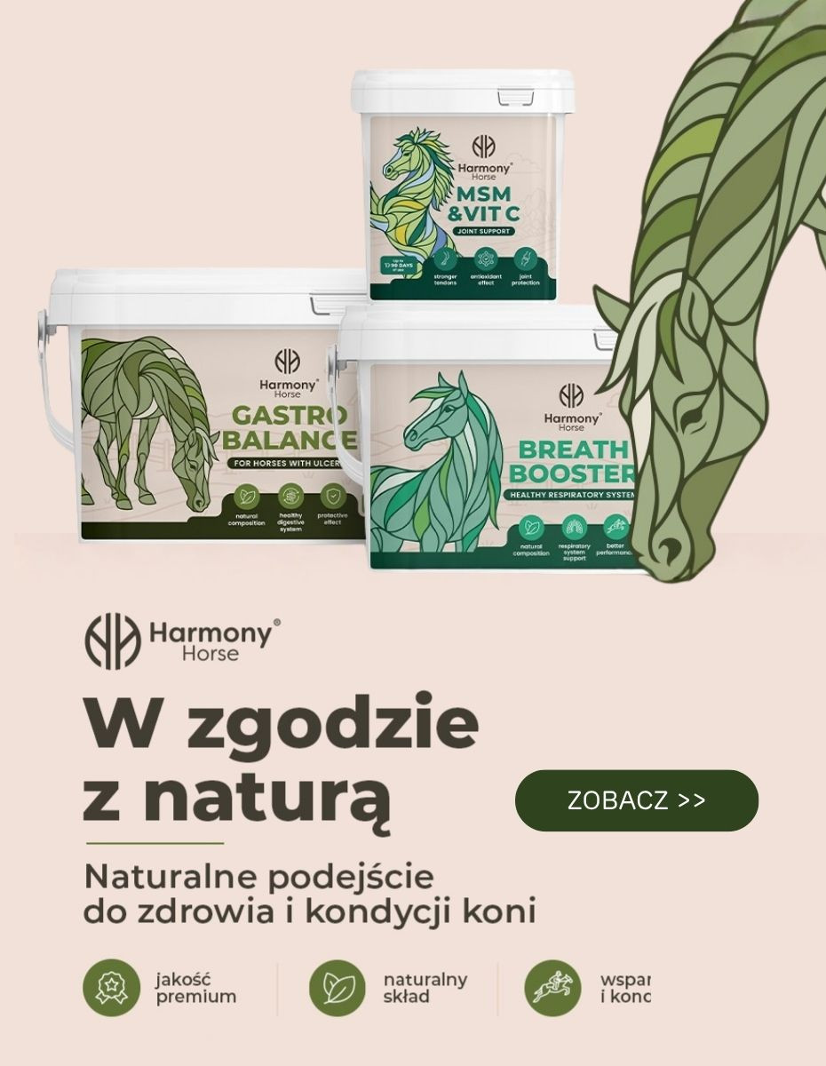 Nowa marka HARMONY HORSE