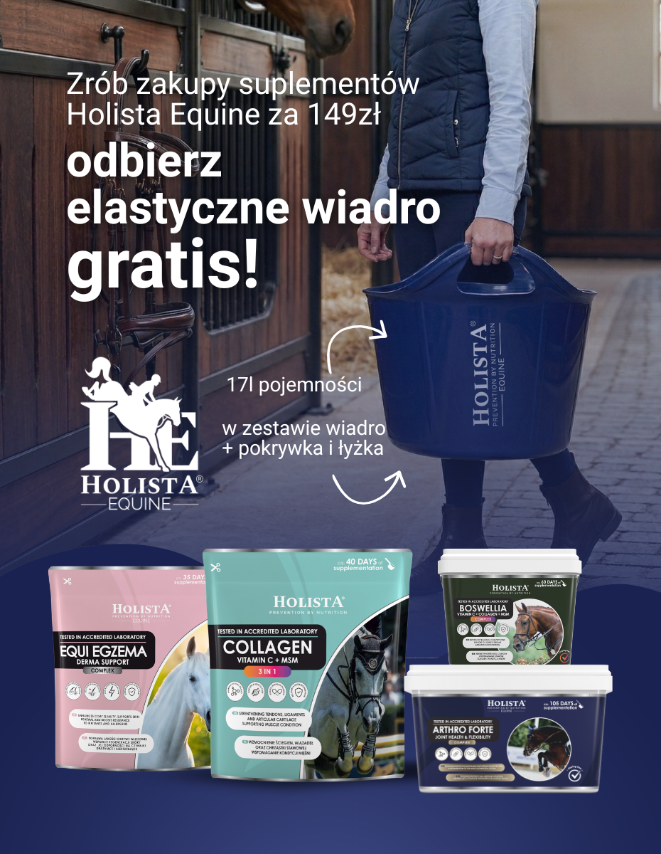 Holista